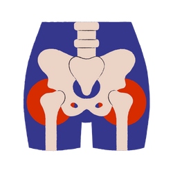 Ascites Symptoms In Females