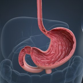 Cancer [Oesophageal Diseases Treatment]