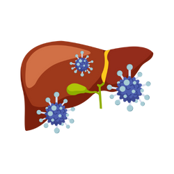 Cirrhosis &Amp; Advanced Liver Disease