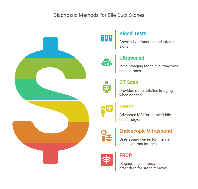 Diagnosis How Are Bile Duct Stones Detected