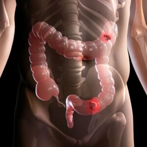 Digestive system diagram showing food pipe and stomach
