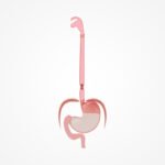 Esophageal Stricture FI