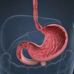Esophagitis [Oesophageal Diseases Treatment]
