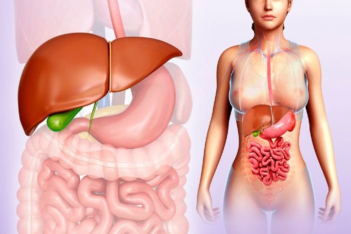 Gall Bladder Cancer