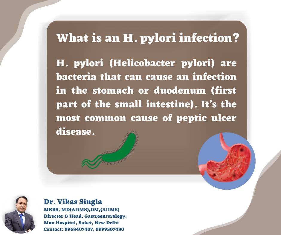 Helicobacter Pylori Infection | H. Pylori Infection