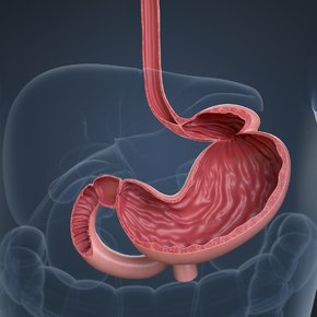 Hiata Hernia [Oesophageal Diseases Treatment]