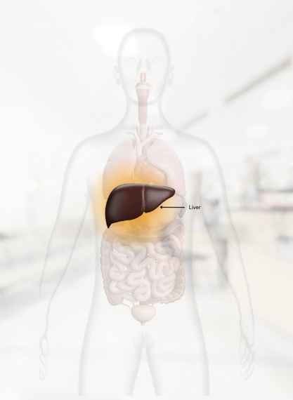 Liver Diseases 1