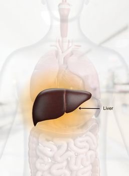 Liver Diseases Final (1)