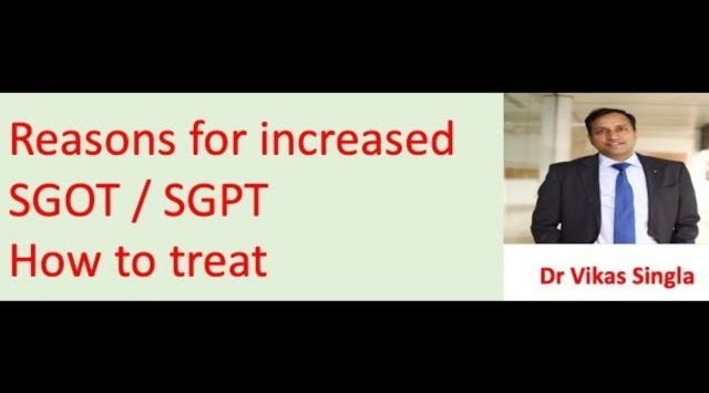 Reasons for Increased SGOT & SGPT Causes & Treatment