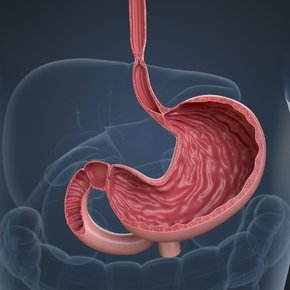 Scricture [Oesophageal Diseases Treatment]