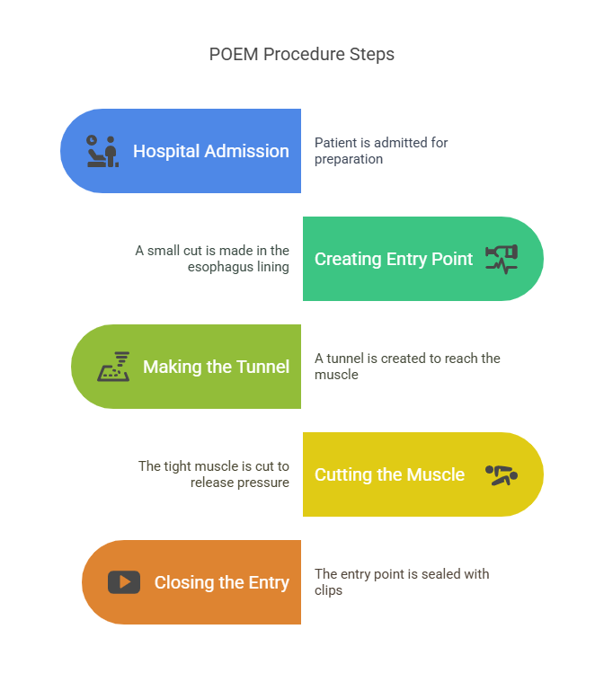 Step By Step Poem Procedure 