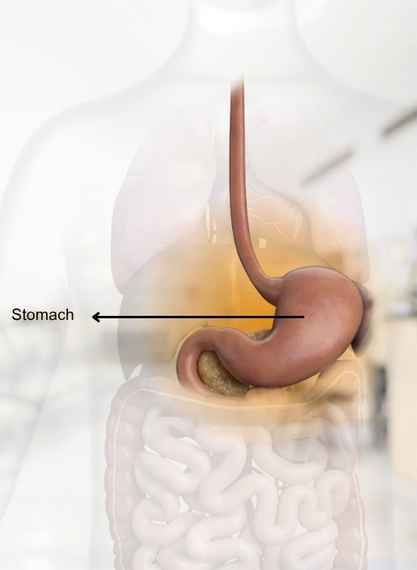 Stomach Disease