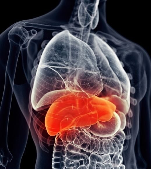 Liver Tumor