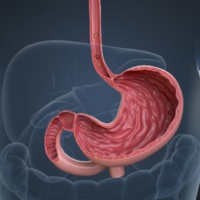 Ulcers [Oesophageal Diseases Treatment]